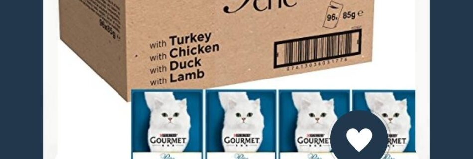 Top 15 Best Cat Food in the UK for 2025 [Vet-Approved & Owner-Tested Guide] smoothblogging.com