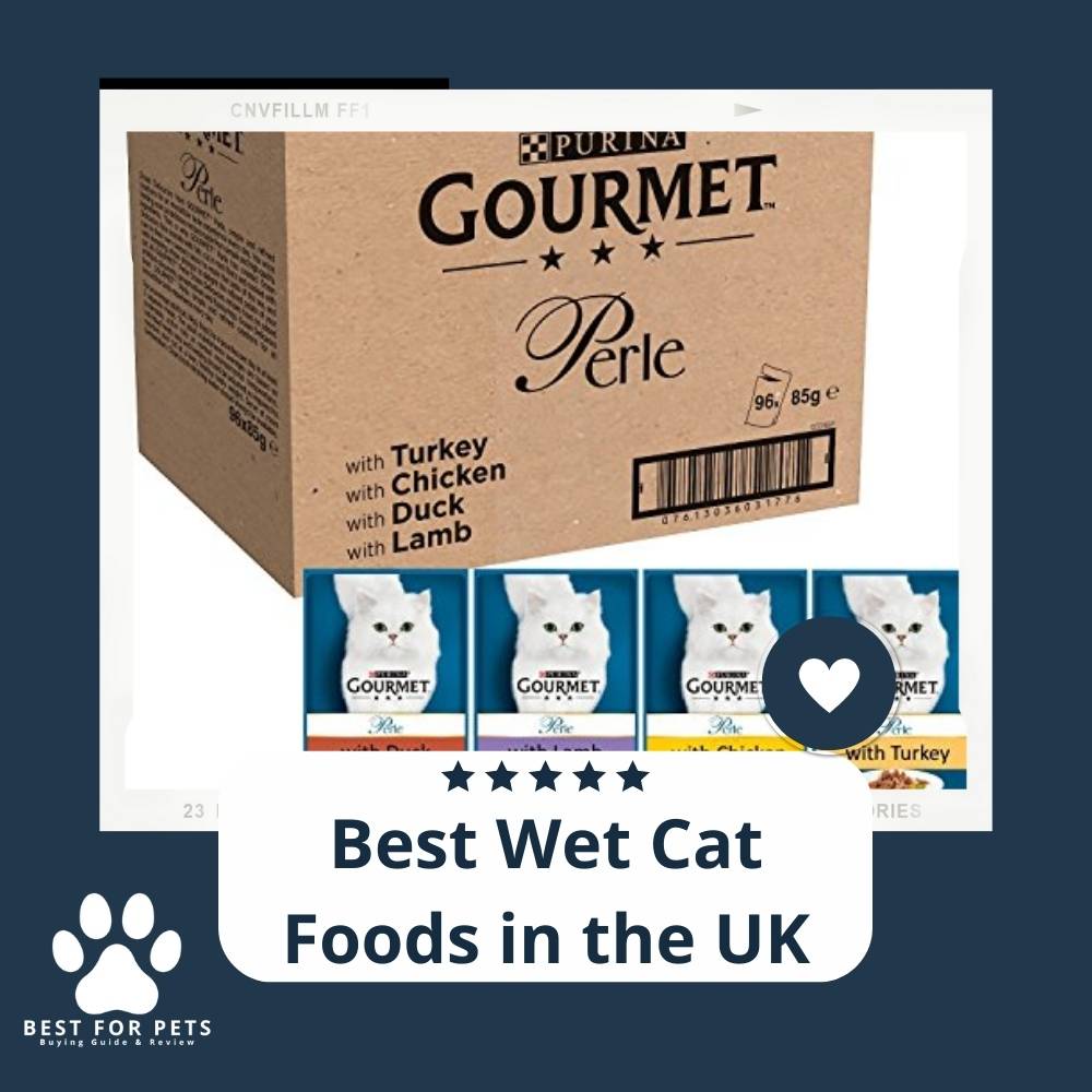 Top 15 Best Cat Food in the UK for 2025 [Vet-Approved & Owner-Tested Guide] smoothblogging.com